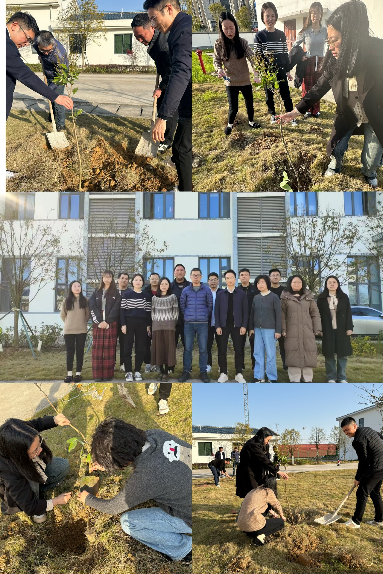 2024-3-12綠色陸港，美麗寧德，阮克妙拍攝.jpg
